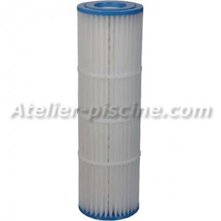 Cartouche Clean and Clear plus modèle 520