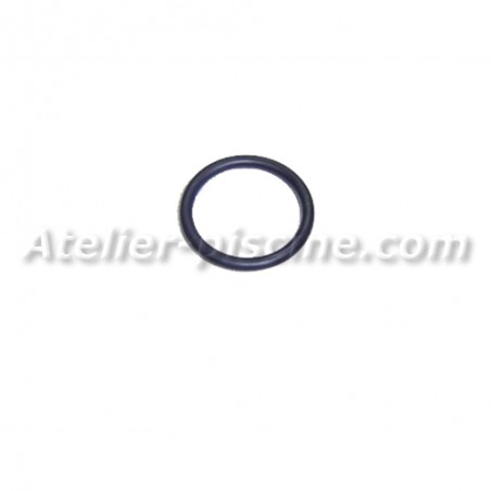 Joint de diffuseur pour pompe Astralpool Sena