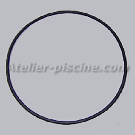 Joint torique de corps de pompe Astralpool Alaska/Sena
