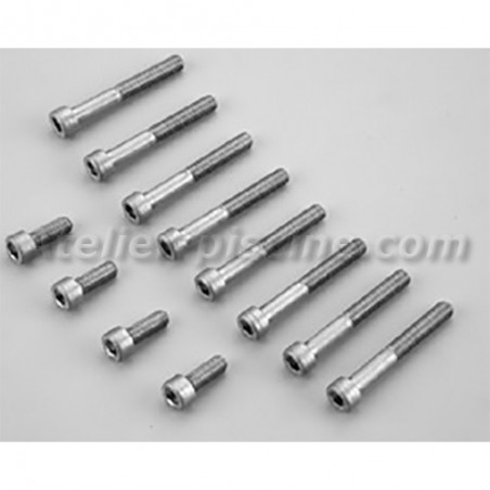 Vis de plateau d'assemblage pour pompe Astralpool Victoria plus (x12)