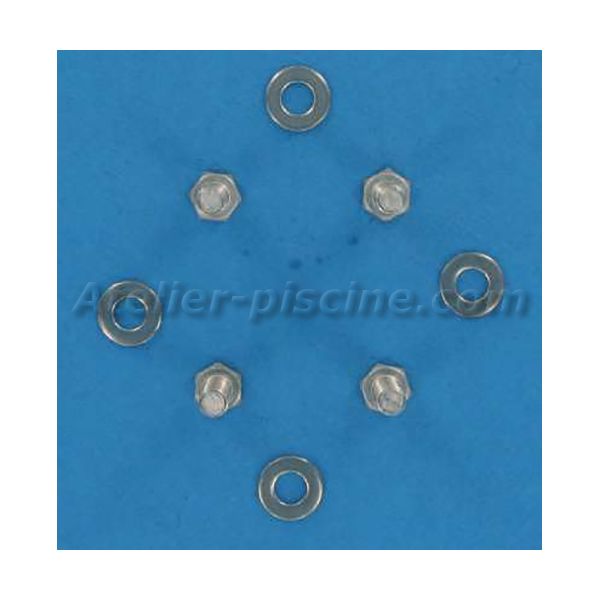 Vis et rondelles de connection préfiltre pour pompe Sta-Rite (x4)