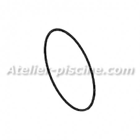 joint de couvercle pour pompe IML America et New Mini Pump