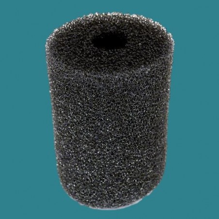 Brosse de queue Pentair...