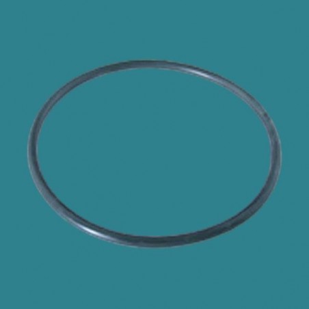 Joint torique de dôme pour chlorinateur Hayward grande capacité