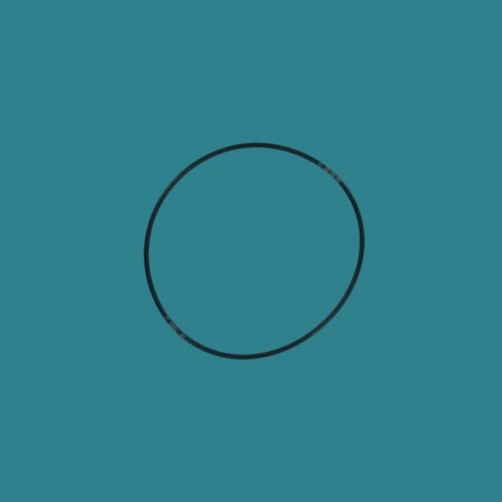 Joint torique de corps PPE...