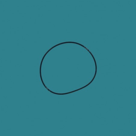 Joint torique de corps...