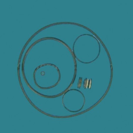 Kit joints pour pompe...
