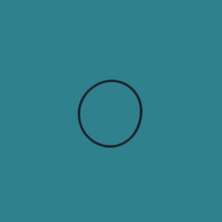 Joint torique buse 035 -...