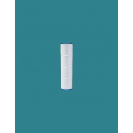 Cartouche Hayward Swim...