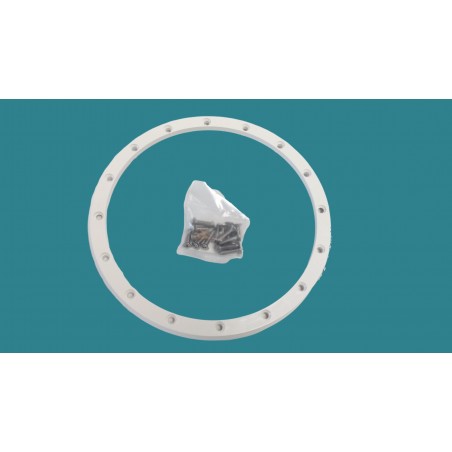 Bride PROJ Std/PS 300 W +...