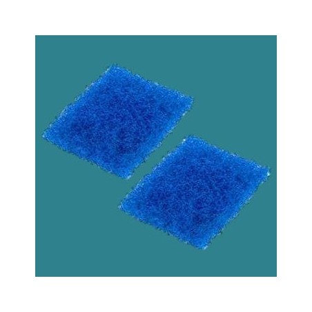 Filtres supérieur (mousse...