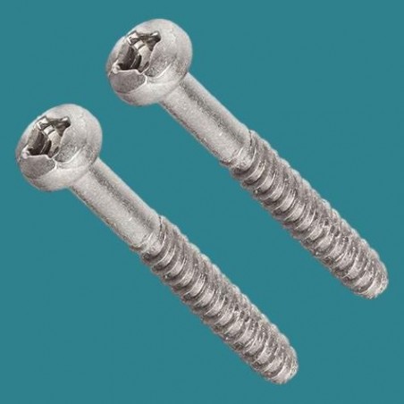 Vis de diffuseur (x2) PPE...