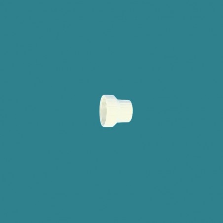 Raccord adaptateur 2''...