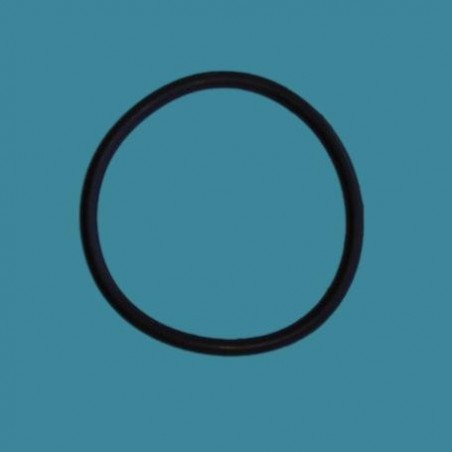 Joint torique de préfiltre de pompe Hayward PowerFlo II