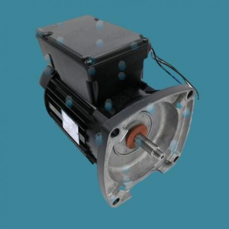 Moteur pour pompe Hayward...