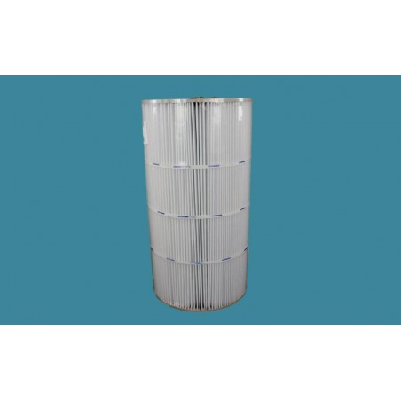 Cartouche C100 Swimclear...