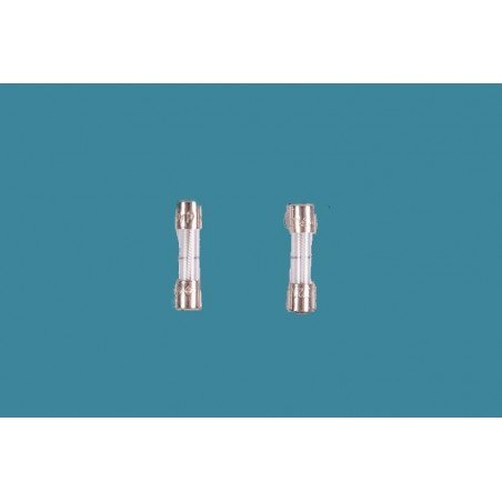 Fusible 2A - 4408041113