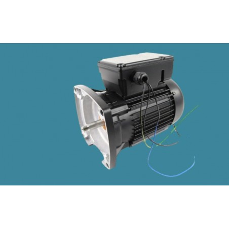 Moteur ppe Max-Flo 2/XL...