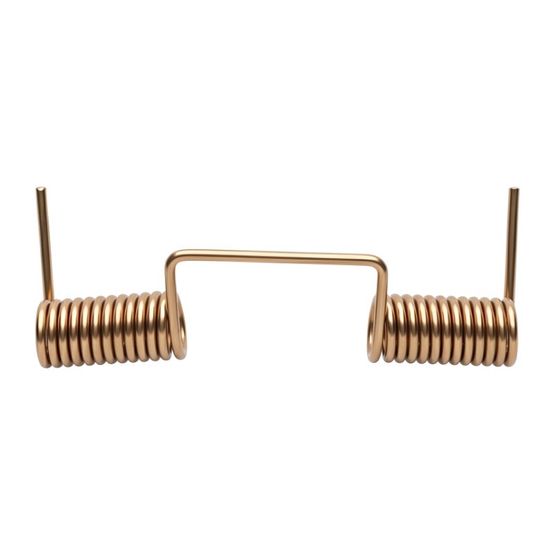 Ressort clapet anti-retour pour support de sac robot piscine Dolphin