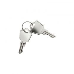 Clef d'alarme Immerstar (Acis)