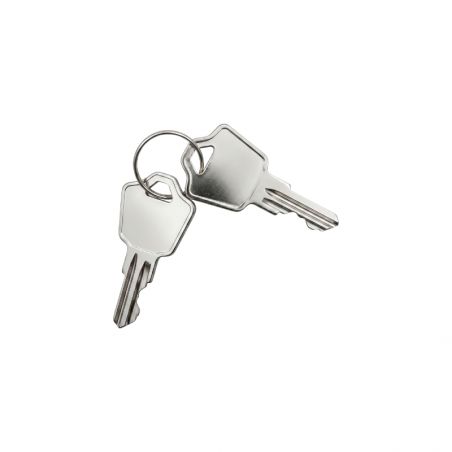Clef d'alarme Immerstar (Acis)
