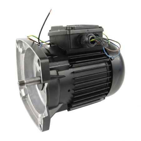 Moteur pour pompe Hayward MaxFlo II/XL 1CV tri