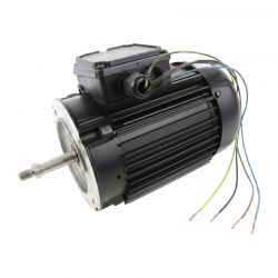 Moteur complet pour pompe Hayward 1,5CV Tri