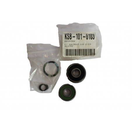 KIT ROULEMENTS 6-8-12 E/D KSB Filtra