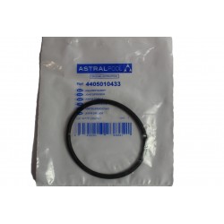 Joint de diffuseur PPE Viron P300. P230. P600 (joint de raccord pour P300. P600) - 4405010433