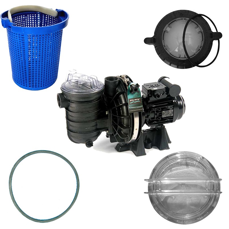 Pompe de filtration Sta-Rite