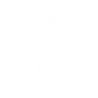 SNTE